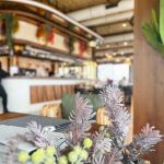 Dolly Bell Java - Srpska Nova godina 2026