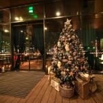 Savanova - Doček Nove godine 2026