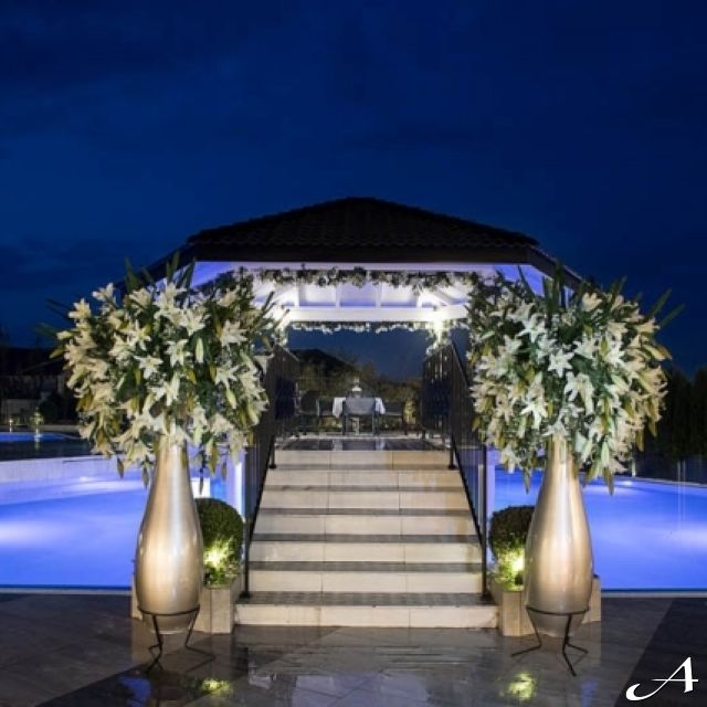 Diamond Garden - osvetljena bašta noću