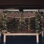 Nova godina u Diamond garden-u