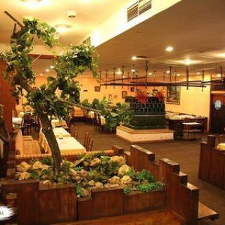 Restoran Vojvodina - enterijer sa biljkama
