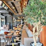 The Petica Nova godina 2026