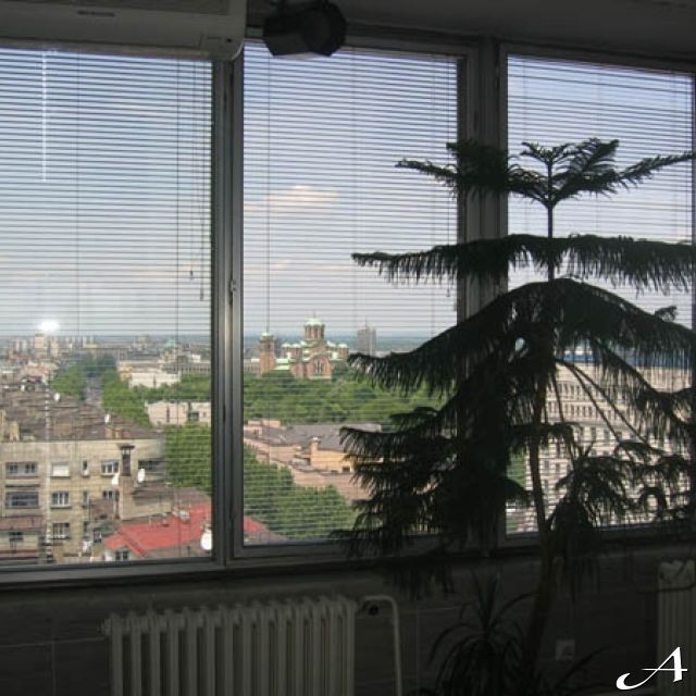 Poslovni klub Lola - pogled kroz prozor