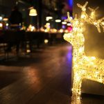 Savanova - Doček Nove godine 2026