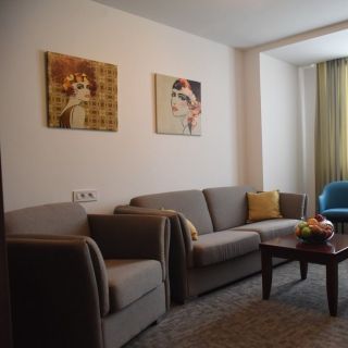 Hotel Fontana Vrnjačka Banja - soba sa sofom
