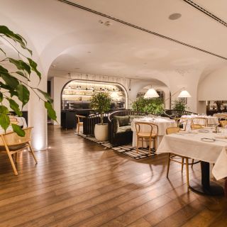 Hotel Radisson Collection - elegantan restoran