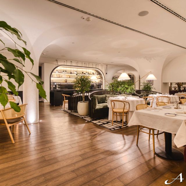Hotel Radisson Collection - elegantan restoran