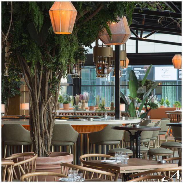 Restoran Buena Vida - prazni stolovi i lampe