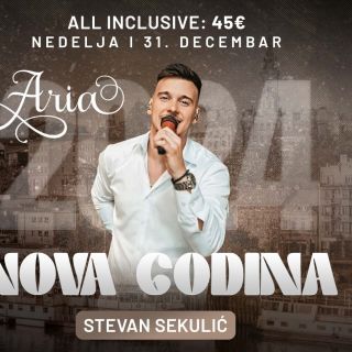 Doček Nove godine - pevač sa mikrofonom