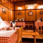 Splav kafana Uzbuna - Srpska Nova godina 2026