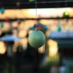 Zornića kuća Nova godina 2026