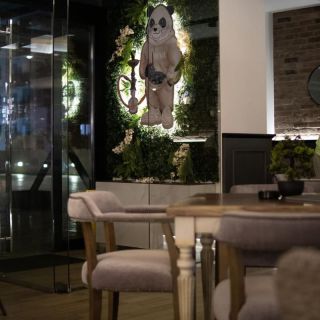 Premium club Luxura - panda dekoracija