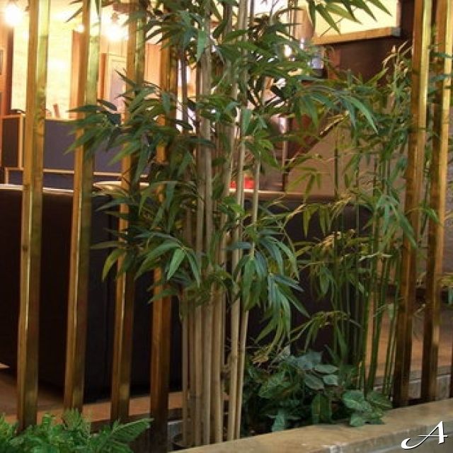 Hotel Royal - unutrašnji biljni ukrasi