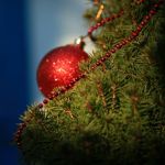 Zornića kuća Nova godina 2026