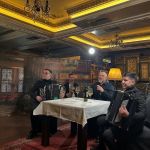 Nenad Manojlović - nastup