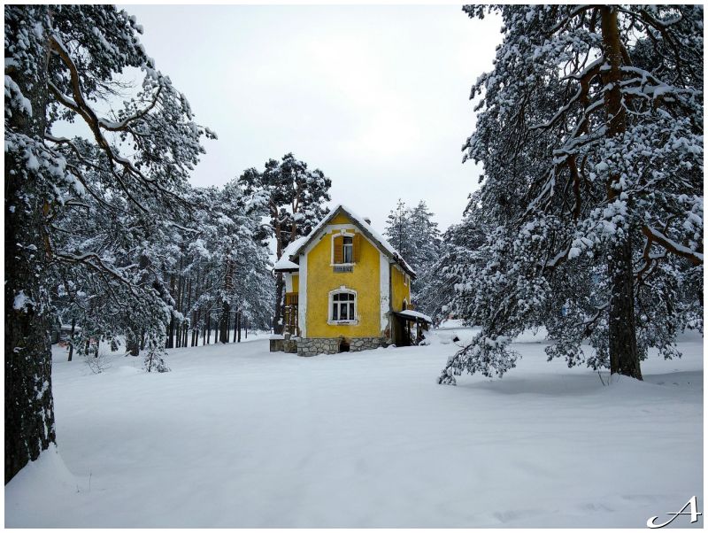 Nova godina na Zlatiboru - koncerti, božićna bajka i zimski program 2026