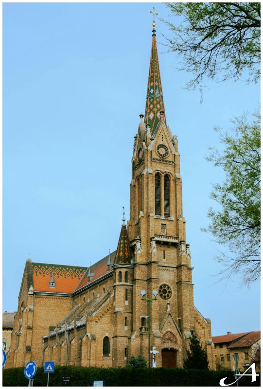 Subotica bez dočeka Nove godine na Trgu, sredstva za mlade i lečenje dece