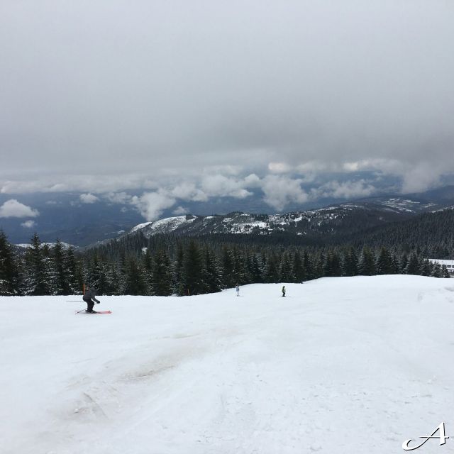 Nova godina Kopaonik - skijaši na stazi