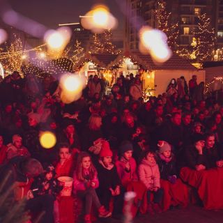 Zimska bajka - publika na festivalu