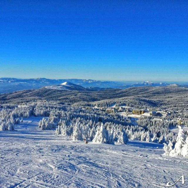 Nova godina Kopaonik - zimski pejzaž planine