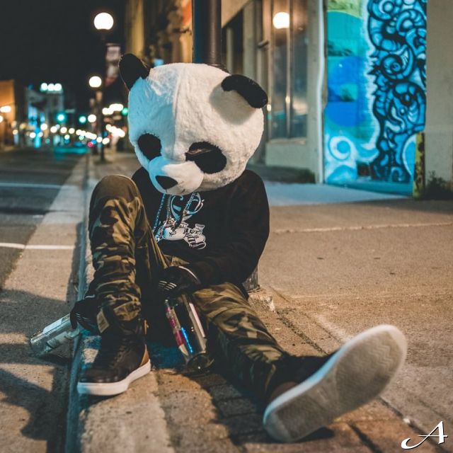 Nova godina - osoba u pandi kostimu