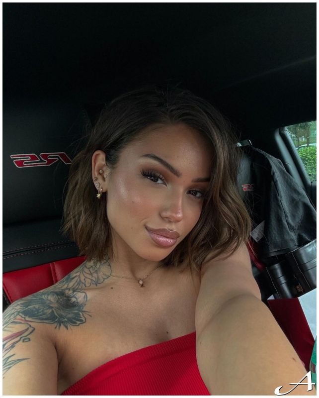 Breskvica Nova godina 2026