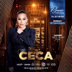 Ceca Nova godina 2026