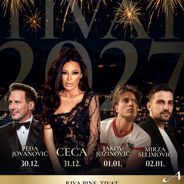 Nova godina - izvođači na plakatu