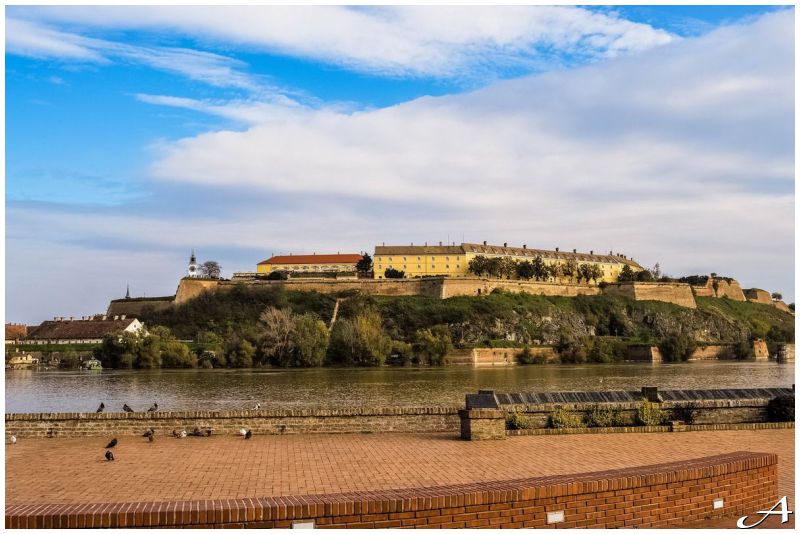 Doček Nove godine Trg Slobode Novi Sad