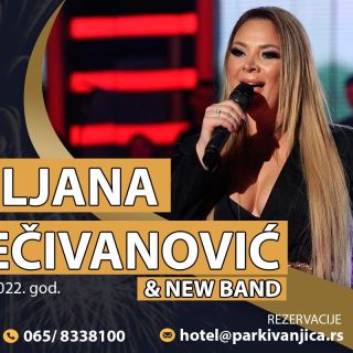 Nova godina - pevačica na nastupu