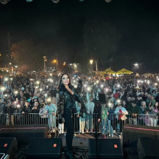 Nova godina - pevačica na bini