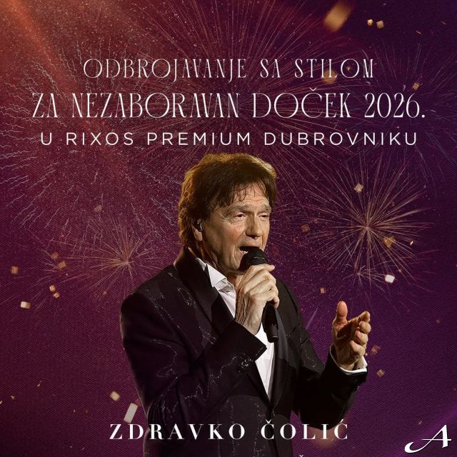Nova godina - pevač na koncertu