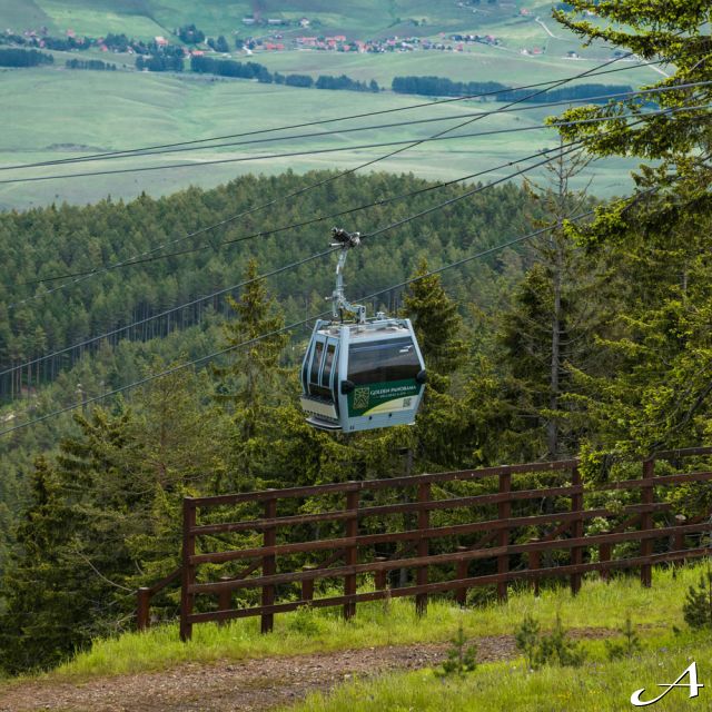 Zlatibor - gondola iznad šume