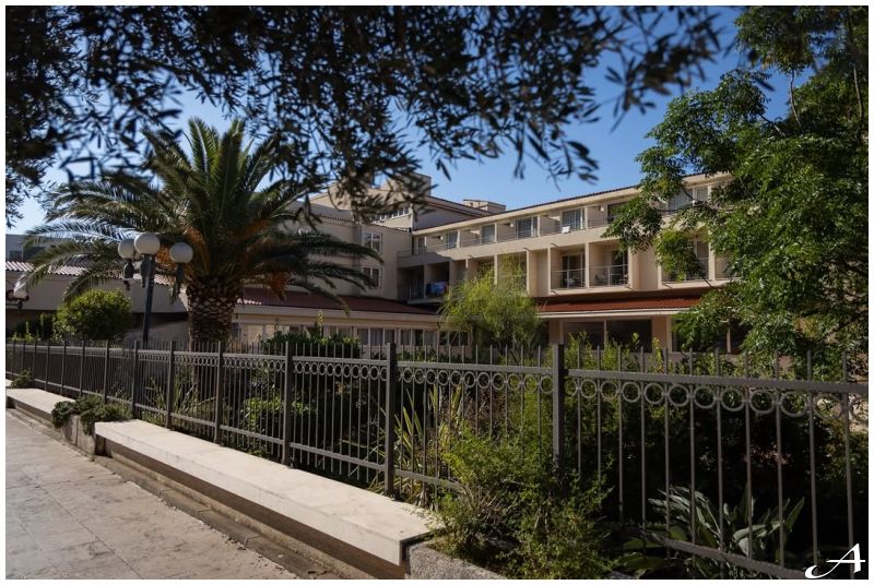 Hotel Palas Petrovac Nova godina 2026 - četiri večeri muzike