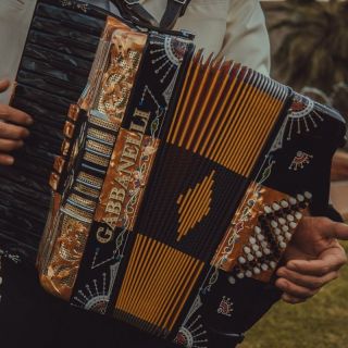 Kafanska muzika - harmonika u rukama