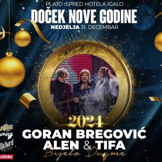 Doček Nove godine - muzičari na sceni