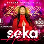 Seka Aleksić Nova godina 2026