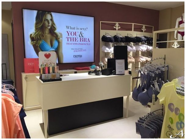 Novogodišnja kolekcija donjeg veša