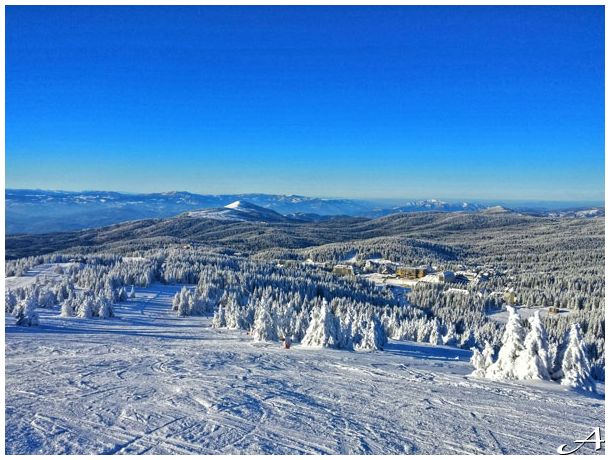 Nova godina Kopaonik