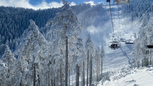 Zlatibor Nova godina 2026 Zlatibor Nova godina 2026