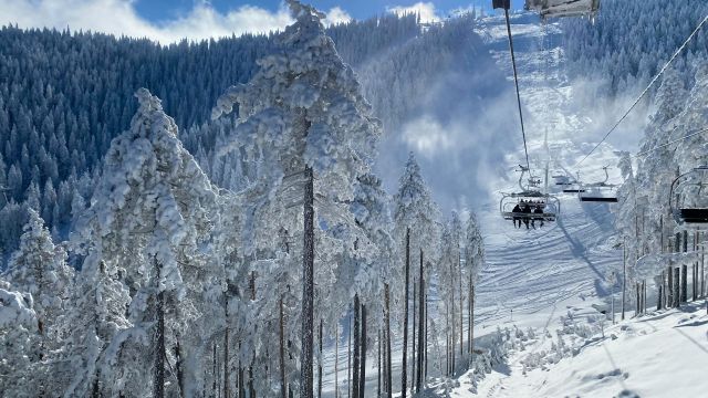 Zlatibor Nova godina 2026