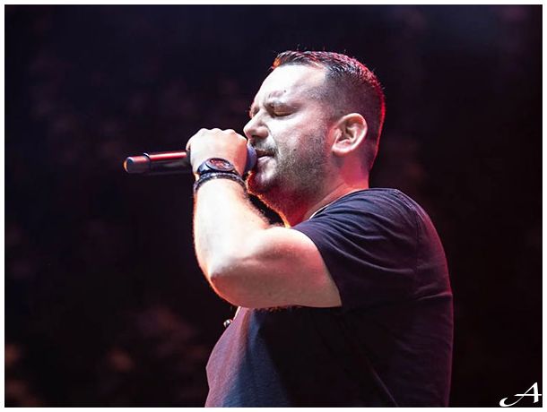 Peđa Medenica Nova godina