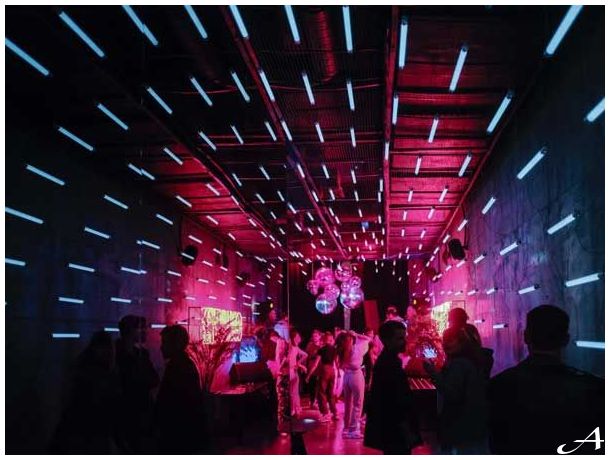 Šta -ko je razlog za neuspešnu proslavu Nove godine