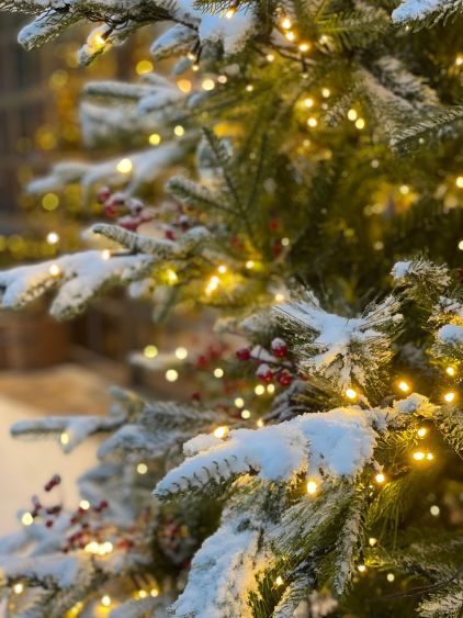 Čarobna zima Beograd – program, koncerti i klizalište ispred Arene